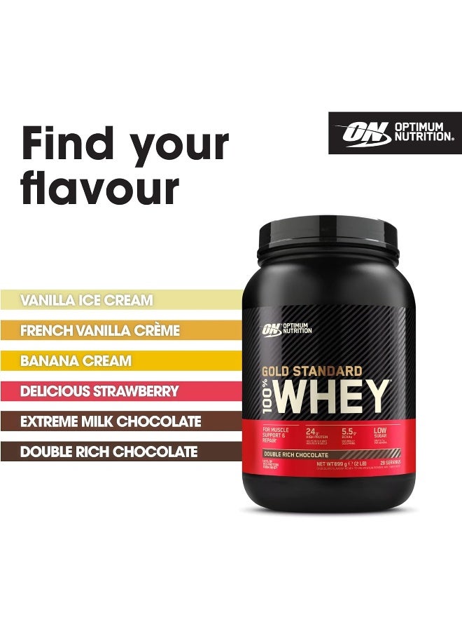 Optimum Nutrition (ON) Gold Standard 100% Whey Protein Powder Primary Source Isolate, 24 Grams of Protein for Muscle Support and Recovery - Double Rich Chocolate, 2 Lbs, 29 Servings (907 Grams) - Image 5