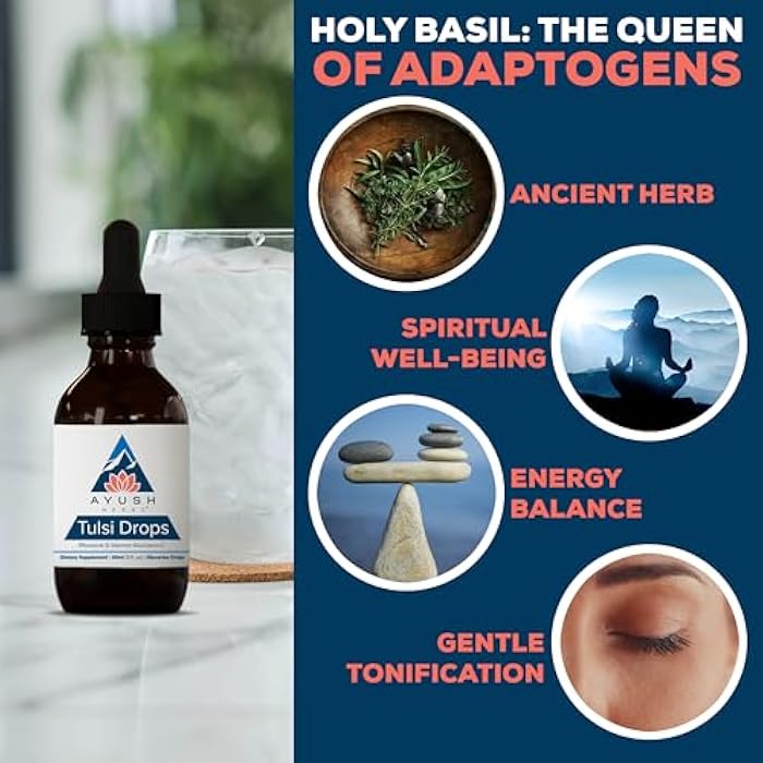 Ayush Herbs Tulsi Drops - Alcohol-Free Tulsi Drops, Holy Basil Gylcerite, Natural Immune-Support Drops for Kids & Adults, Calm & Focus Booster - 2 Fl Oz (80 Servings) - Image 4