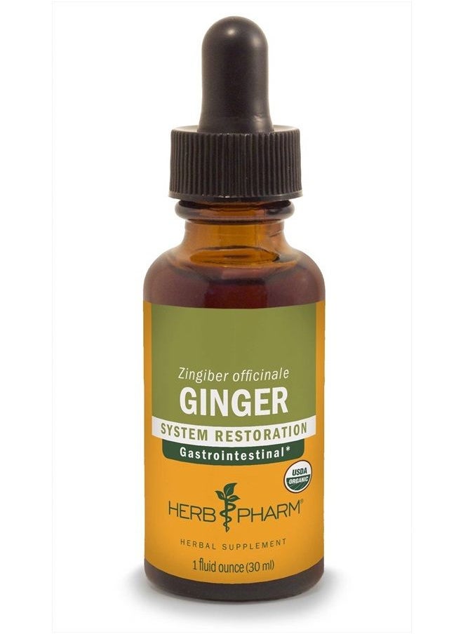 HERB PHARM Certified Organic Ginger Liquid Extract for Digestive Support - 1 Ounce  - Image 1