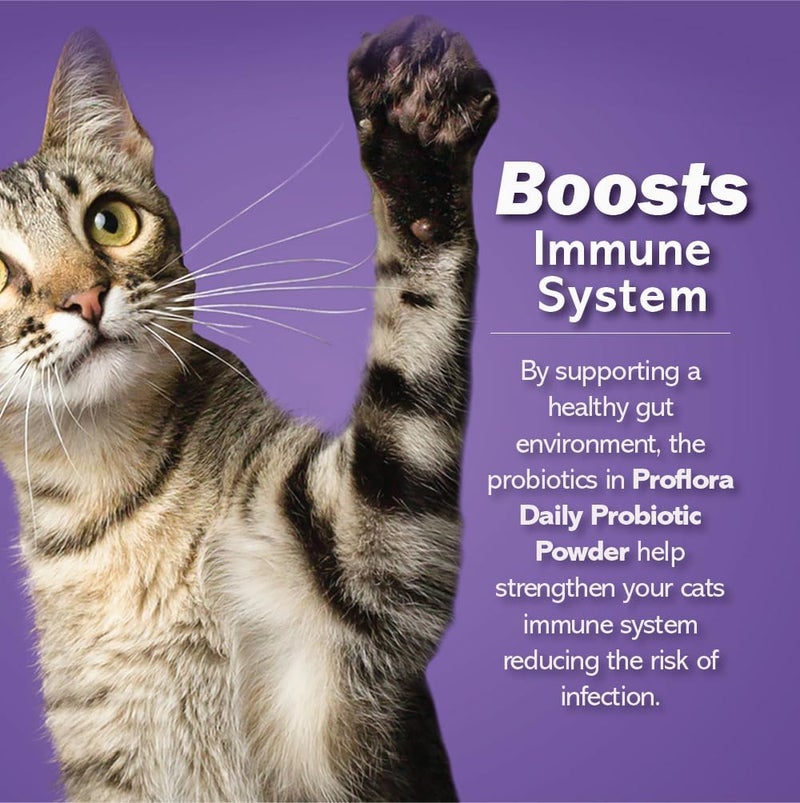 Proflora Probiotics for Cats-Complete Gut Health & Immune Support. Easy to Use Digestive Multi-Strain Probiotics. Easier Diet Transitions, Healthier Skin & Coat & Helps Treat Diarrhea. 30 Packets. - Image 3