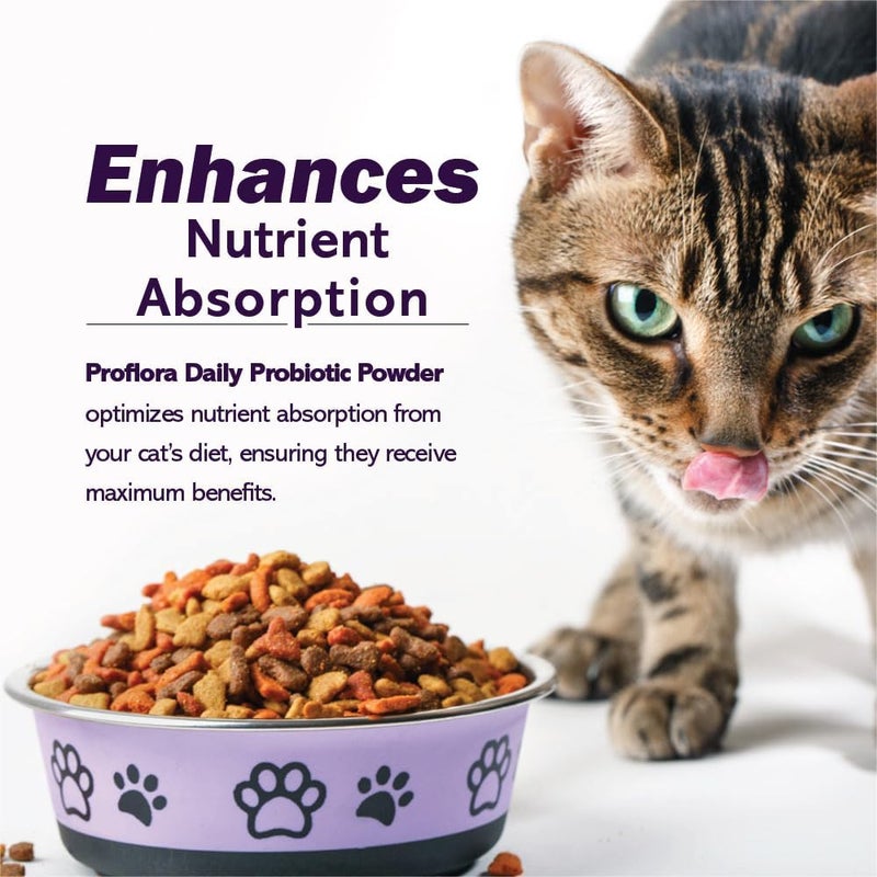Proflora Probiotics for Cats-Complete Gut Health & Immune Support. Easy to Use Digestive Multi-Strain Probiotics. Easier Diet Transitions, Healthier Skin & Coat & Helps Treat Diarrhea. 30 Packets. - Image 5