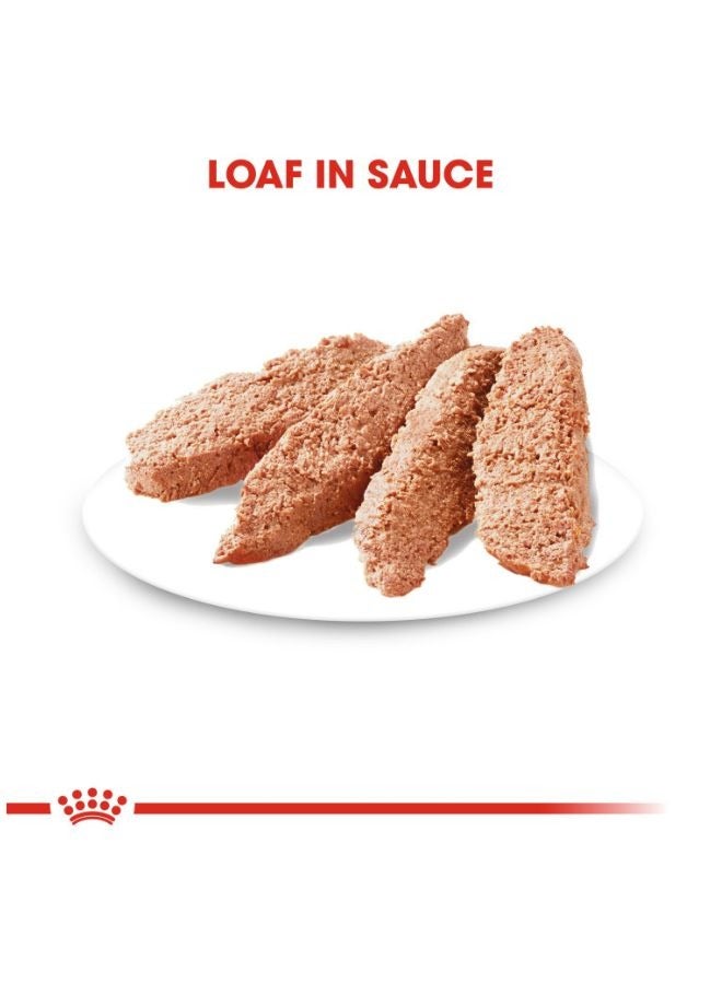 ROYAL CANIN Canine Care Nutrition Exigent Wet Food Pouches - Image 2