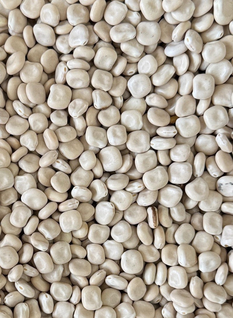 SWEET LUMPINE 500 GM - Image 2