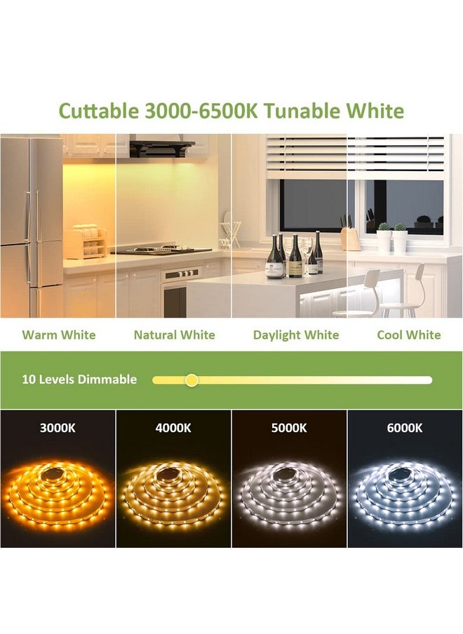 نوفوستيلا - شريط إضاءة LED أبيض قابل للضبط من Novostella بطول 40 قدمًا مزود بـ 1344 مصباح LED قابل للتعتيم 3000K-6500K 24 فولت شريط LED مرن لعيد الميلاد وغرفة المعيشة والخزانة وغرفة النوم والمطبخ والمنزل والبار والسقف ضوء النهار الأبيض الدافئ - Image 1