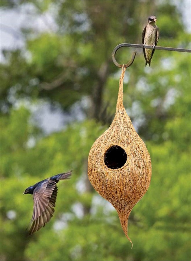 LIVEONCE Natural Bird nest for Cages and breeding for All Medium,Small Birds with self adheshive Hanging Hooks Pack of 10 - Image 5