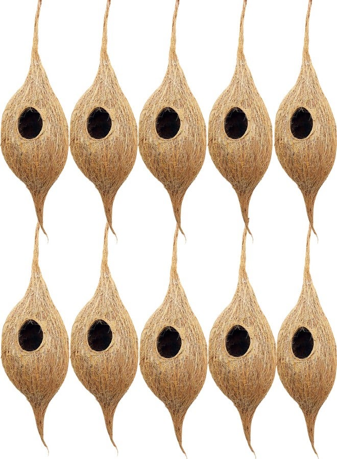 LIVEONCE Natural Bird nest for Cages and breeding for All Medium,Small Birds with self adheshive Hanging Hooks Pack of 10 - Image 1