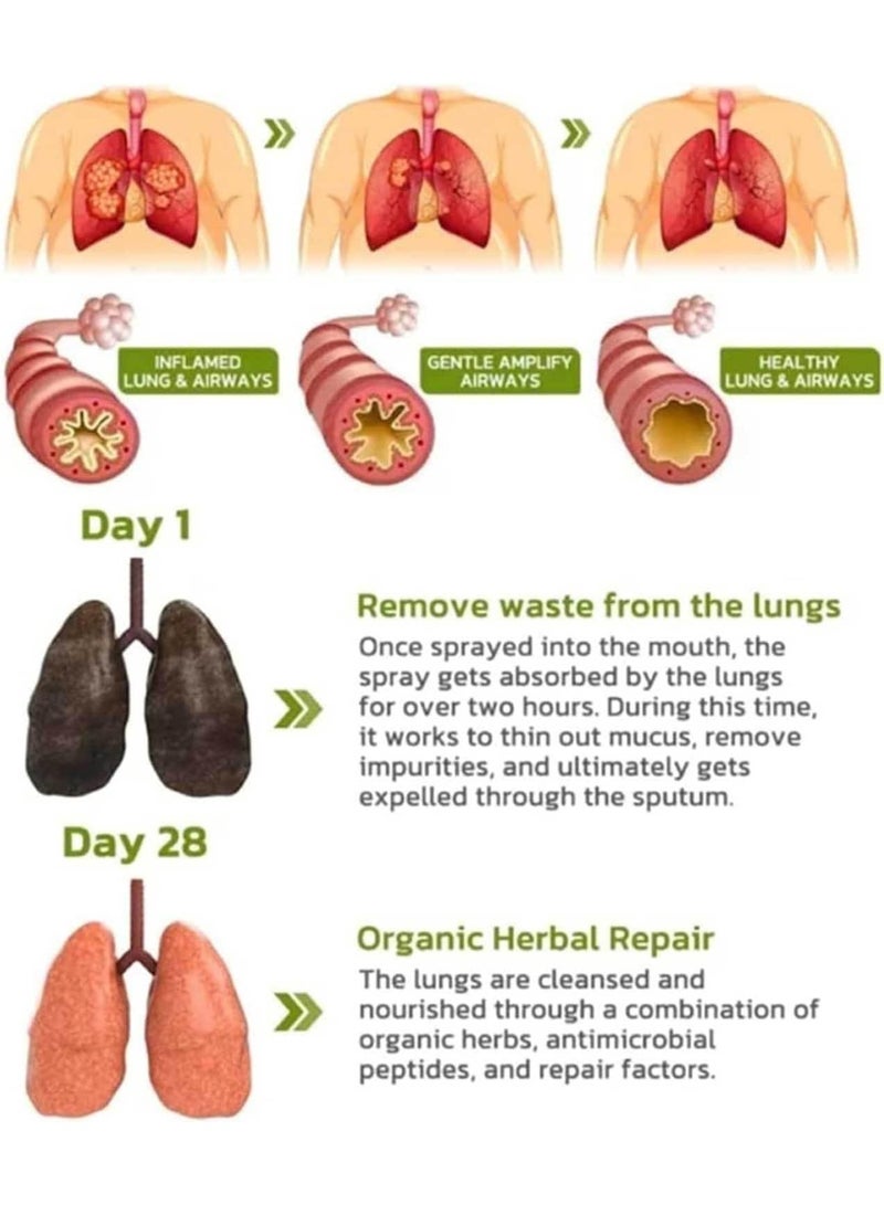 Breathdetox Herbal Lung Cleansing Spray, Natural Herbal Essence for Powerful Lung Support – Herbal Lung Cleanse Mist (2 Pack) - Image 2