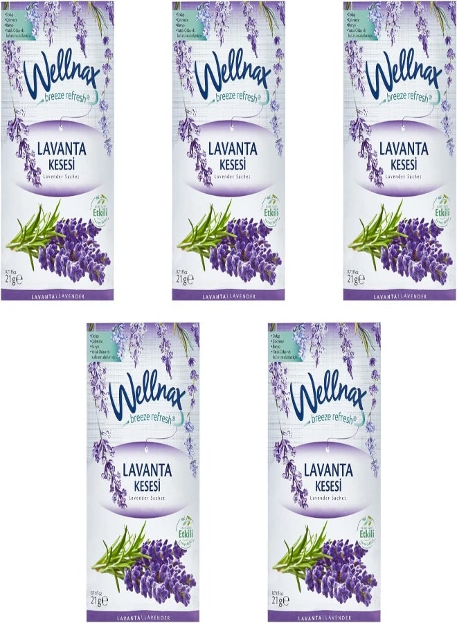 AKDC Wardrobe Aromatherapy Clothes Hangers Bag For Drawers, Cupboards, Bathroom Cars, The Fragrance Of Lavender Pack Of 5  - Image 2