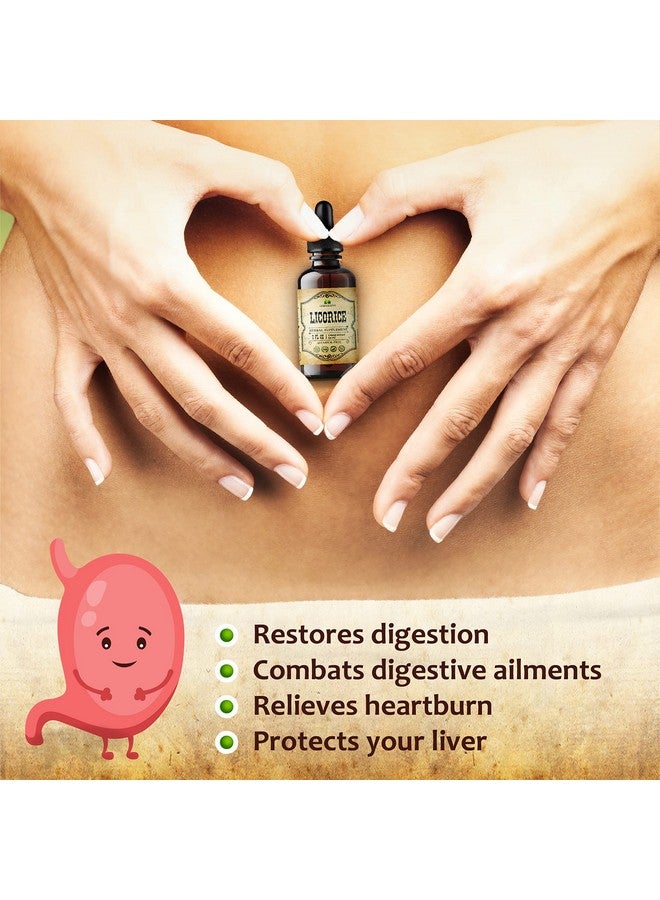 HERBALICIOUS مستخلص جذور العرقسوس غليسيرريزا غلابرا مكمل عشبي عضوي لتحسين الهضم واستعادة صحة الجهاز التنفسي ودعم المناعة والتعب نباتي خالي من الغلوتين صبغة سائلة (2 أونصة سائلة)  - Image 4