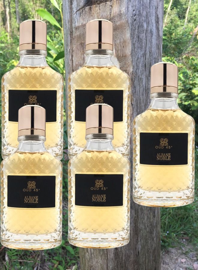 ألباين نوبل 5 قطع عطر عود 45 100 مل - Image 1