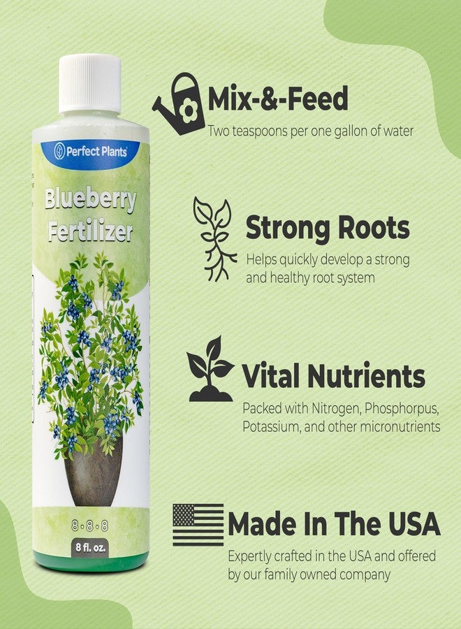 PERFECT PLANTS سماد سائل للتوت الأزرق من بيرفكت بلانتس | معزز نمو التوت | سماد ممتاز للتوت الأزرق ونباتات الفاكهة الأخرى التي تنمو في التربة الحمضية (8 أونصة سائلة) - Image 2