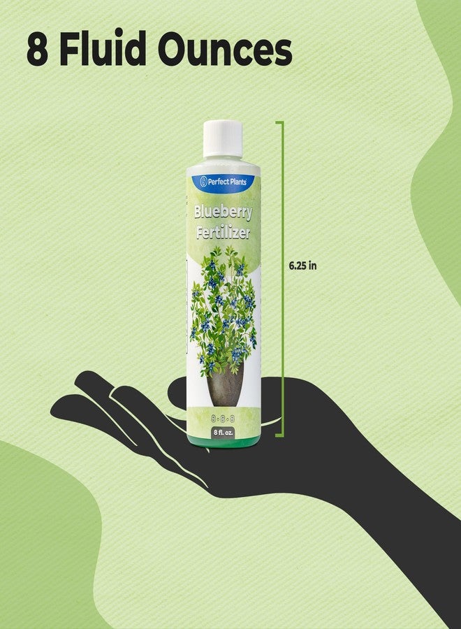 PERFECT PLANTS سماد سائل للتوت الأزرق من بيرفكت بلانتس | معزز نمو التوت | سماد ممتاز للتوت الأزرق ونباتات الفاكهة الأخرى التي تنمو في التربة الحمضية (8 أونصة سائلة) - Image 4