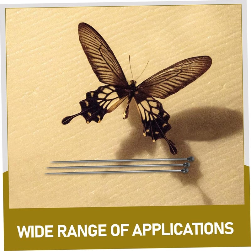 Stainless Steel Entomology Kit 100 Pcs Butterfly Specimen Insect Fixing Supplies - Image 4