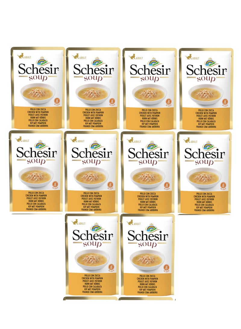 Pack of 10 Cat Wet Soup-Chicken with Pumpkin 10x85g