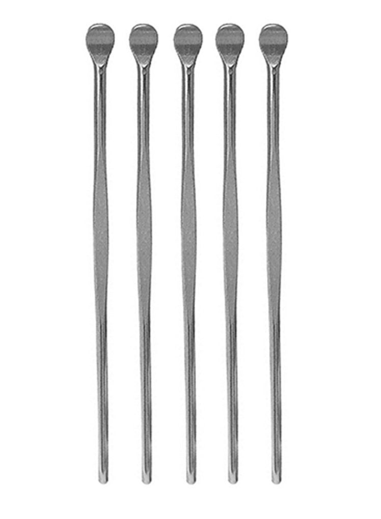 5pcs Stainless Steel Ear Pick Metal Ear Spoon Ear Wax Curette Ear Cleaner Tool Earwax Removal Kit - Image 1