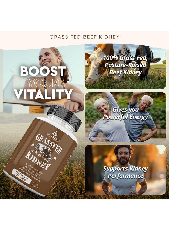 Ancestral Supplements مكملات أنسجة الأجداد من لحم البقر العشبي، 3000 ملغ، مكمل إنزيم DAO، دعم الكلى لصحة المسالك البولية والهيستامين، سيلينيوم، B12، غير معدّل وراثيًا، 180 كبسولة - Image 2