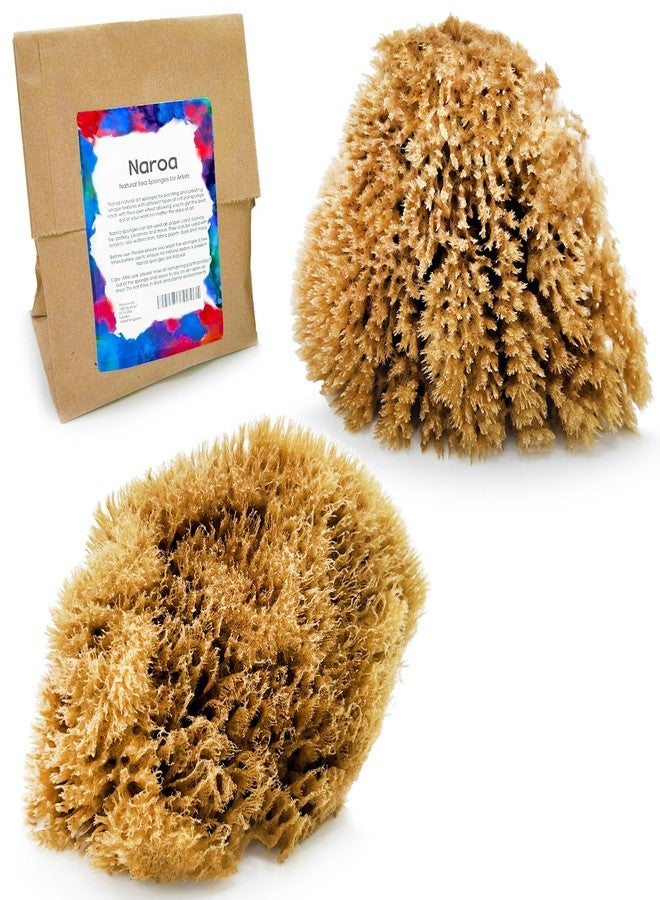 NAROA Natural Artist Sea Sponges for Painting 2 Pack | Large Art Tools for Decorating, Marbling, Sponging, Texturing and Crafts | Great for Artists & Children - Image 1