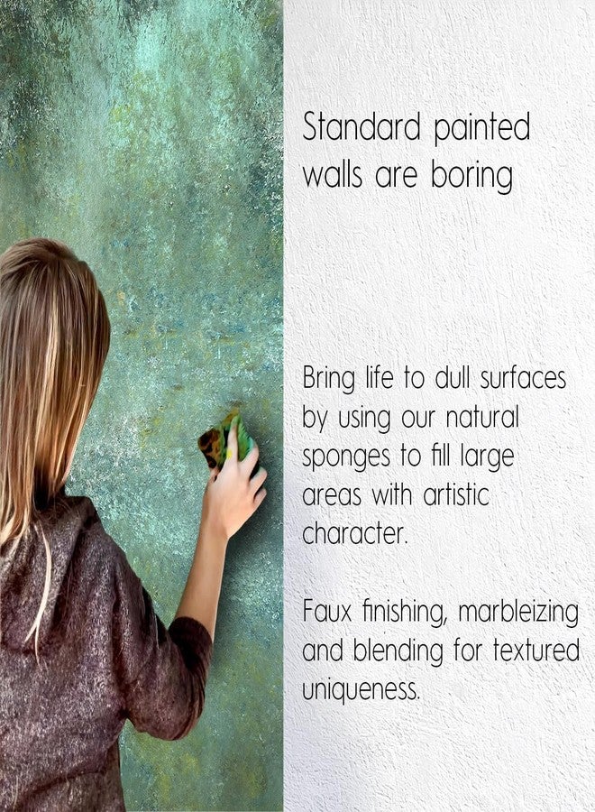 NAROA Natural Artist Sea Sponges for Painting 2 Pack | Large Art Tools for Decorating, Marbling, Sponging, Texturing and Crafts | Great for Artists & Children - Image 3
