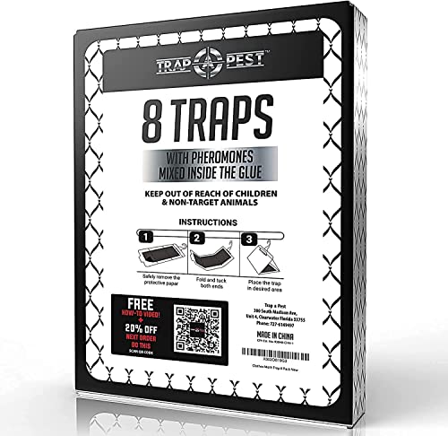 TRAP A PEST Clothing Moth Traps - 8 Pack - Non Toxic Moth Traps for Clothes with Pheromone Attractant - Odorless Sticky Trap for Closet, Carpets - Image 5