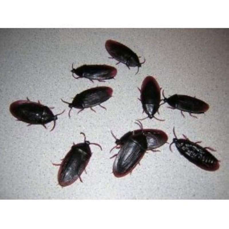 SPHTOEO 12 Fake Roaches Prank Novelty Cockroach Bugs Look Real - Image 2
