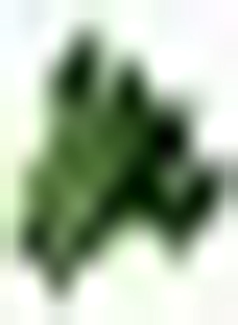 GGOOT 400Stück Spinatsamen einzigartig unverzichtbar für das Pflanzen im Gewächshaus auf dem Bauernhof Schnell wachsend müssen Sich Nicht zu sehr darum kümmern Genießen Sie die Freude an der Ernte - Image 1