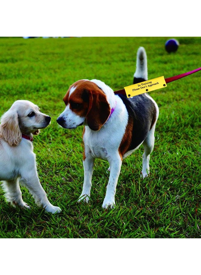 BLUPARK Funny Dog Leash Sleeve in Training Please Don't Approach Dog Leash Wrap Wrap Alert Hanging ID Patch Tag (Don't Approach-YE Sleeve) - Image 4