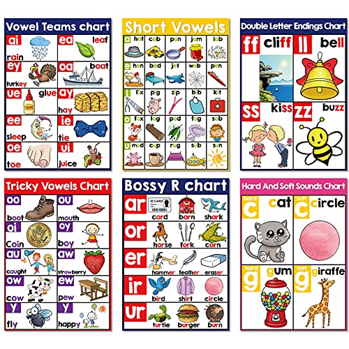 Yisong 13 Pcs English Phonics Poster Language Charts Learning Vowels Posters Alphabet Bulletin Board Set Wall Decoration (16 x 11 Inch) - Image 3