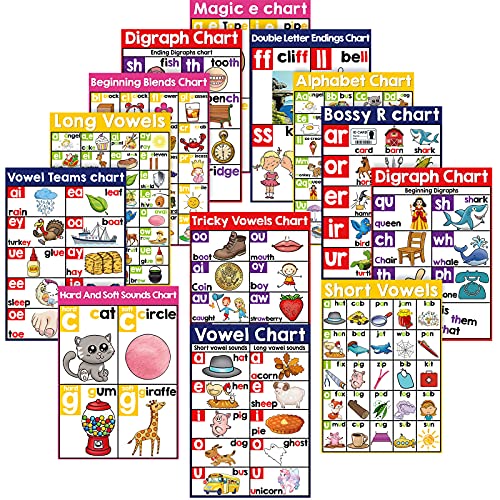 Yisong 13 Pcs English Phonics Poster Language Charts Learning Vowels Posters Alphabet Bulletin Board Set Wall Decoration (16 x 11 Inch) - Image 1