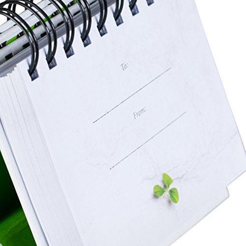 Dayspring داي سبرينغ - ماكس لوكادو - ستتجاوز هذا: الأمل والمساعدة لأوقاتك العصيبة - تقويم دائم ملهم من داي سبرينغ - (26083) - Image 4