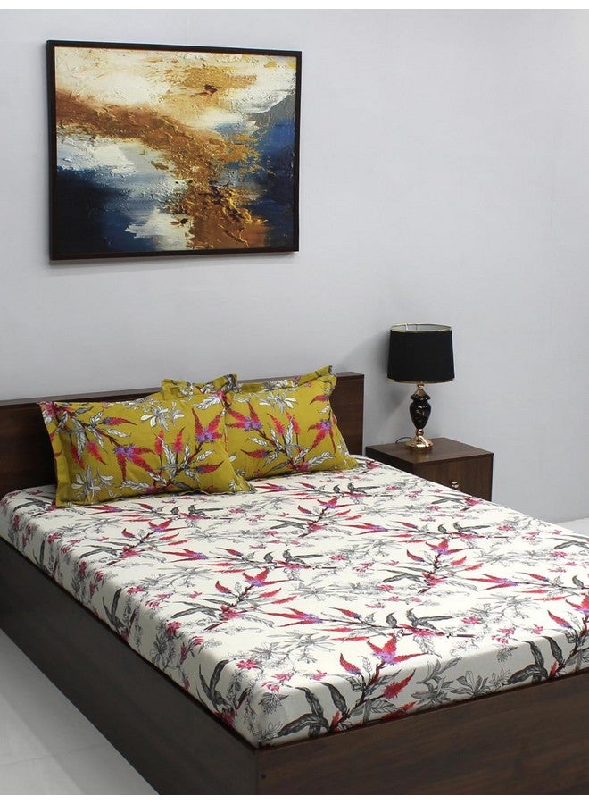 Bombay Dyeing 100% Cotton Queen Size Bedsheet for Double Bed With 2 Pillow Covers | 110 TC (88 X 94 Inches) - Red Black (Ivyrose) - Image 1