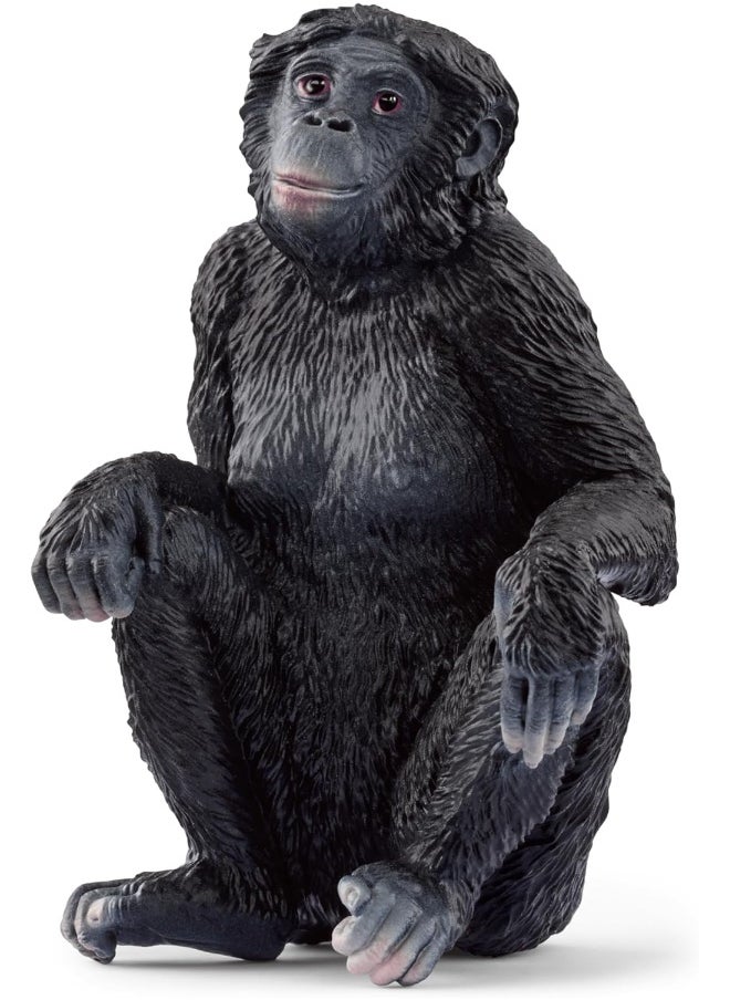 Schleich - Schleich Wild Life Bonobo Female (Circular) Figure (6 cm) - Image 1
