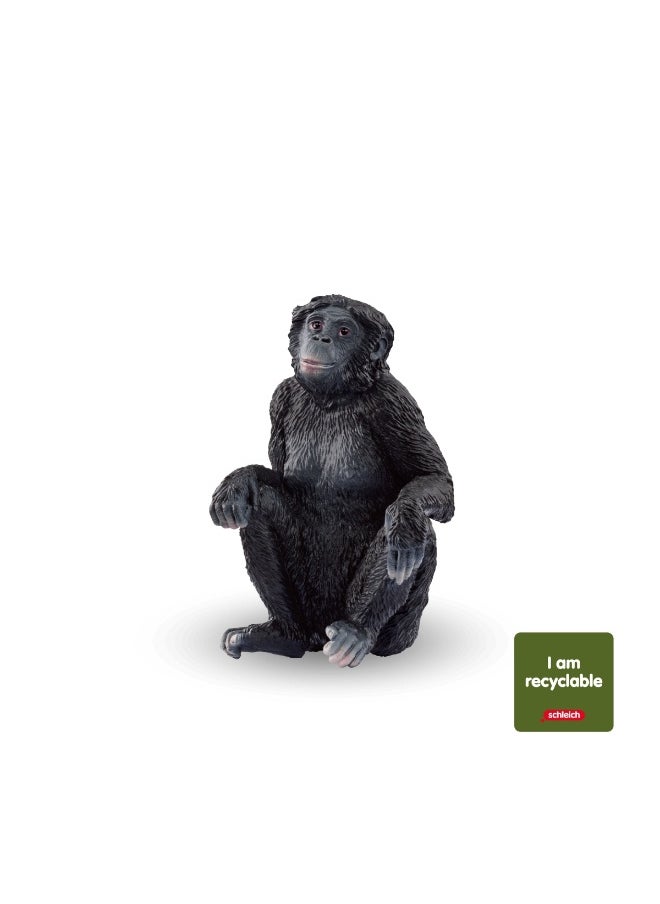 Schleich - Schleich Wild Life Bonobo Female (Circular) Figure (6 cm) - Image 1