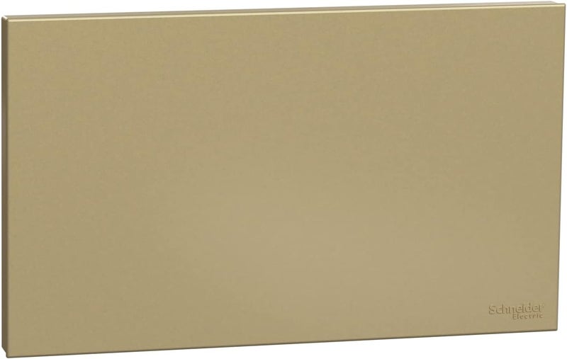 Schneider لوحة فارغة ثنائية من شنايدر إلكتريك أفاتارون C - ذهبية نبيذ - Image 1