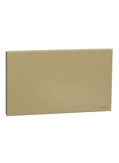 Schneider Electric Schneider Electric Avataron C Blank Plate E8730TX_WG, 2 Gang, Wine Gold  - Image 2