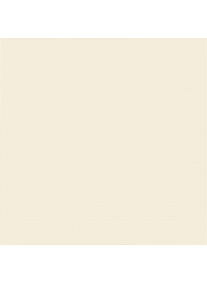 Rust-Oleum 249860 Painter's Touch 2X Ultra Cover Spray Paint, 12 oz, Semi-Gloss Ivory Bisque - Image 1