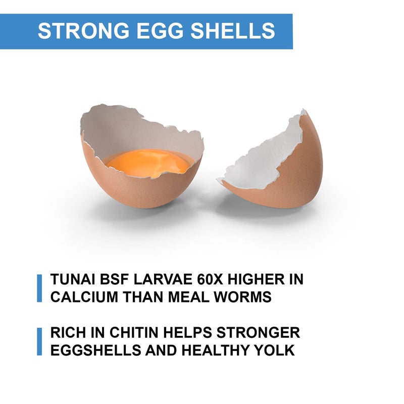 TUNAI طعام الدواجن من يرقات ذبابة الجندي السوداء توناي | 500 جرام | 60X كالسيوم، 40% بروتين، مكمل طبيعي لعلاج طعام الدواجن، دجاجة، بطة، ديك رومي، وزة، دجاج، ديك - Image 4