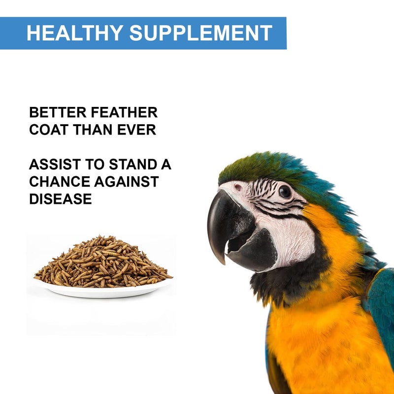 TUNAI طعام الدواجن من يرقات ذبابة الجندي السوداء توناي | 500 جرام | 60X كالسيوم، 40% بروتين، مكمل طبيعي لعلاج طعام الدواجن، دجاجة، بطة، ديك رومي، وزة، دجاج، ديك - Image 5