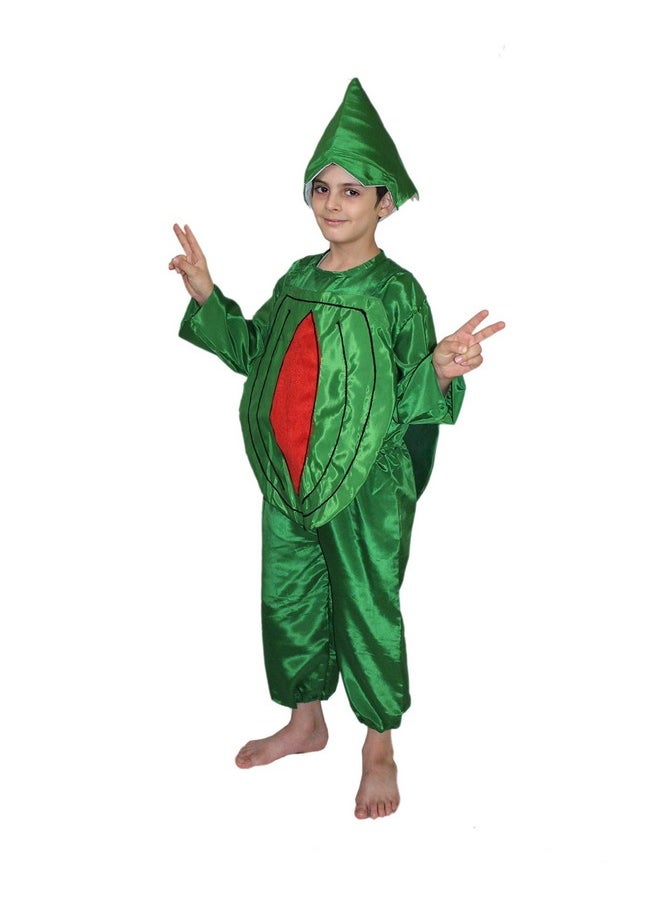 Kaku Fancy Dresses Kaku Fancy Dresses Polyester Watermelon Fruits Costume -Red & Green, 3-4 Years, for Boys & Girls  - Image 1