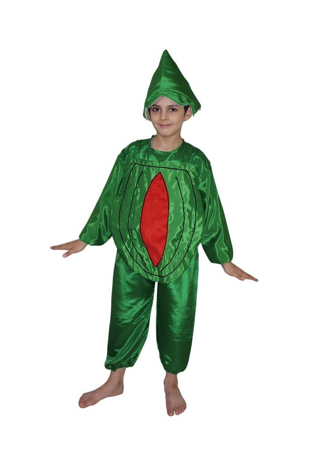 Kaku Fancy Dresses Kaku Fancy Dresses Polyester Watermelon Fruits Costume -Red & Green, 3-4 Years, for Boys & Girls  - Image 5