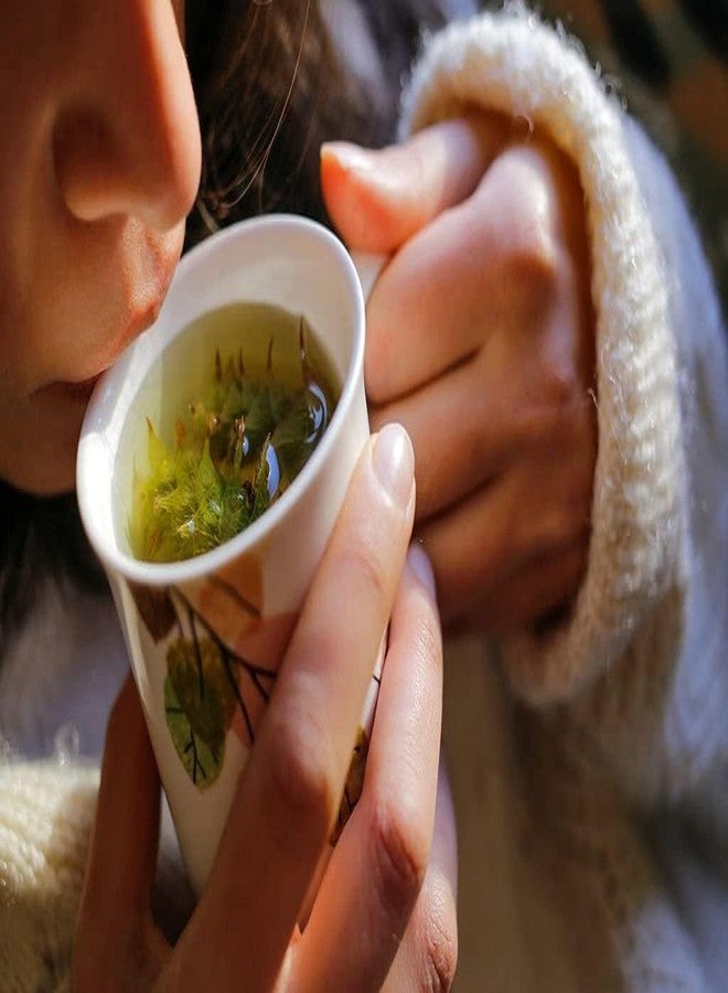 SAI HERBS شاي جذور البربرين الخام من ساي هيربس - مفيد للبشرة - لنمط حياة صحي - شاي أعشاب فاخر - نقي وطبيعي (25 غرام) - Image 3