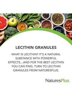 Nature's Plus NaturesPlus Lecithin Granules - 95% Soy Phosphatides, 12 oz - Lecithin Powder Supplement, Pleasant-Tasting, Oil-Free - Vegetarian, Gluten-Free - 45 Servings  - Image 2