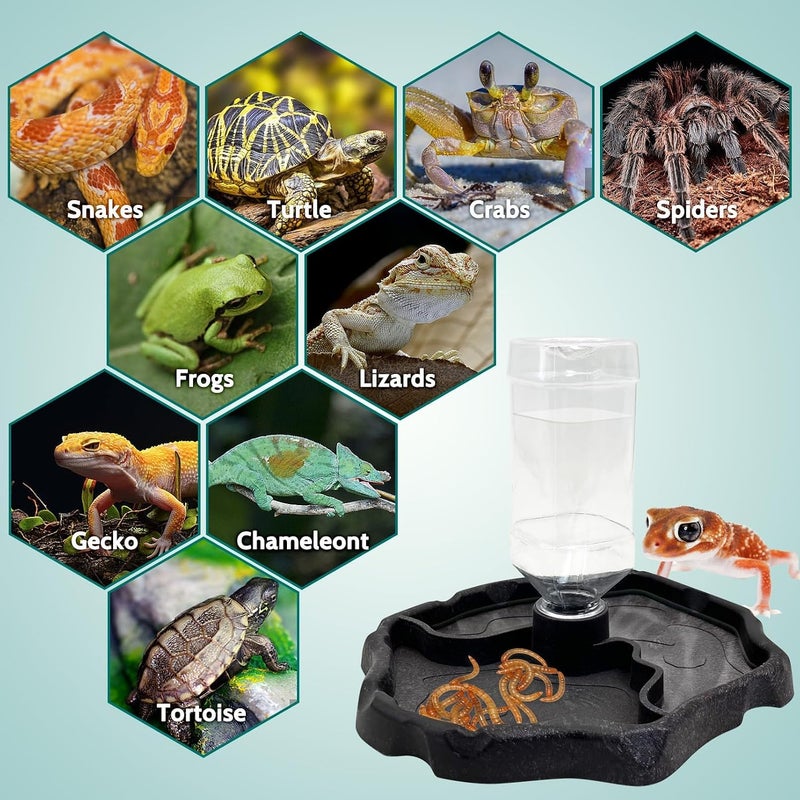 KASTWAVE Space saving design picks 9oz Reptile Water Bottle and Automatic Feeder for Turtles, Tortoises, Lizards, Chameleons – Leak-Proof Water Dispenser and Food Bowl Combo for Reptile Hydration and Feeding Gulf standard sizing alternatives - Image 5