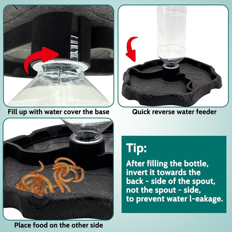 KASTWAVE Space saving design picks 9oz Reptile Water Bottle and Automatic Feeder for Turtles, Tortoises, Lizards, Chameleons – Leak-Proof Water Dispenser and Food Bowl Combo for Reptile Hydration and Feeding Gulf standard sizing alternatives - Image 3