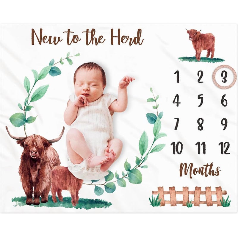 Gicoherero Highland Cows Baby Monthly Milestone Blanket Scotland Photo Prop Month Blanket Growth Chart Gift Ideas For Newborn Boy Girl Nursery D?Cor Baby Shower 40 "" X 50 "" - Image 1