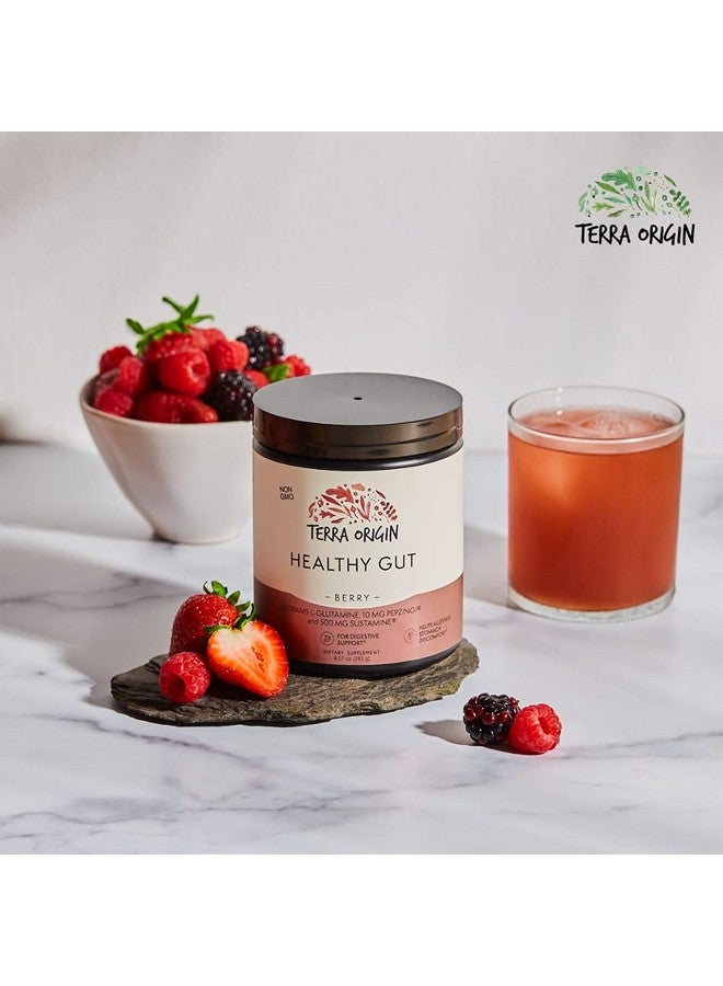 Terra Origin TERRA ORIGIN Healthy Gut Powder (Berry Flavor) |30-Servings with L-Glutamine, Zinc, Glucosamine, Slippery Elm Bark, Marshmallow Root and More! - Image 5