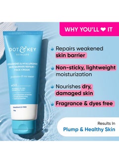 Dot & Key Ceramides & Hyaluronic Skin Barrier Repair + Face Cream For Dry Skin100G & Vitamin C+E Super Bright Sunscreen Spf 50 Pa+++ 50G | For Men & Women 1 Count  - Image 4