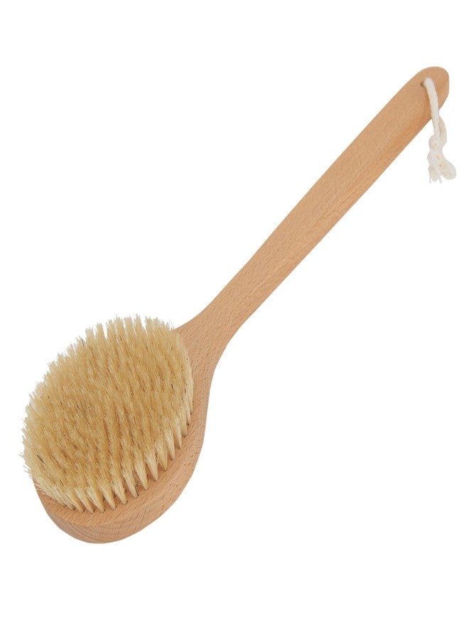 afterspa Dry Brushing Body Brush with Handle by Afterspa, Back Scrubber for Shower, Exfoliating Shower Brush, Shower Scrubber for Body, Vegan and Cruelty Free - Image 2