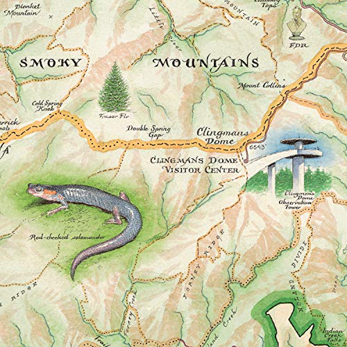Xplorer Maps Great Smoky Mountain National Park Hand-Drawn Map – 24x18 Vintage-Style Lithographic Print – Made in USA - Image 4