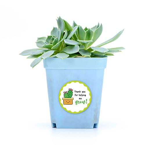 weRevel Helping Me Grow Theme Gratitude Paper Stickers, 40 Count, 2 Inches, Round, 4 Unique Designs-Self-Adhesive - Image 3