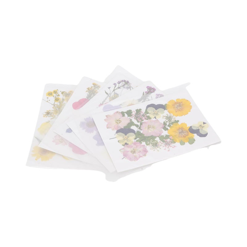 Pressed Dried Flowers Set Type 5 For Scrapbooking Phone Cases Resin Art - Image 5